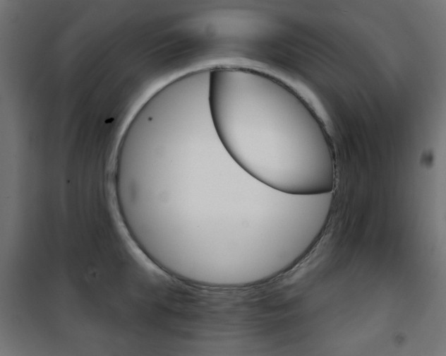 X0000101470903200807071216