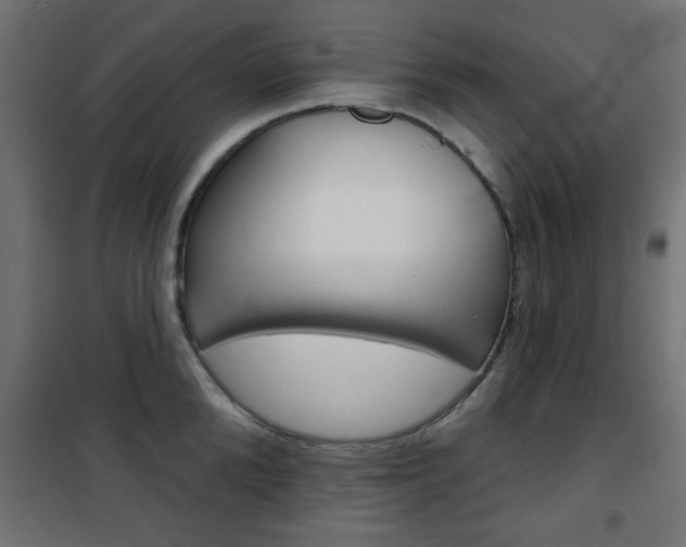 X0000101470904200807071216