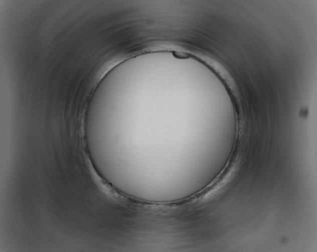 X0000101470905200807071216
