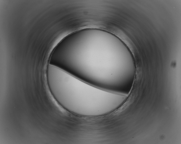 X0000101470906200807071216