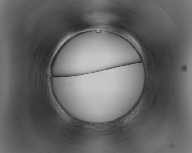 X0000101470907200807071216