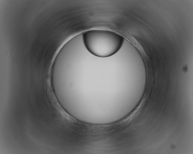 X0000101470908200807071216