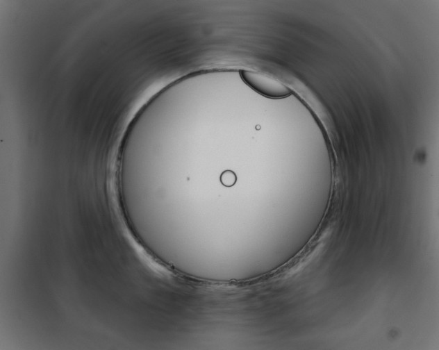 X0000101470909200807071216