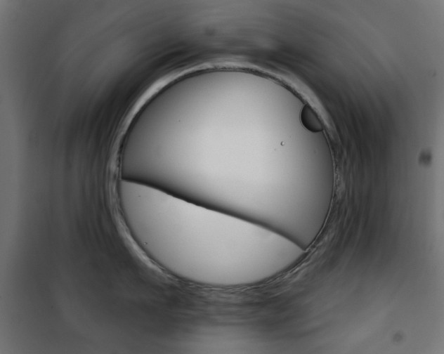 X0000101470911200807071216