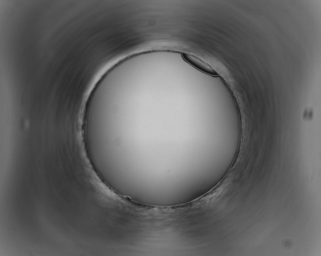 X0000101470912200807071216