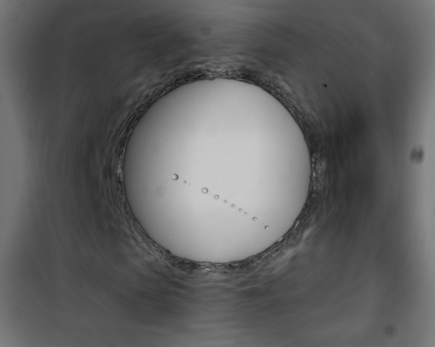 X0000101470913200807071215