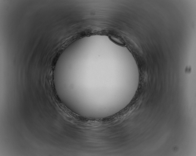 X0000101470914200807071215