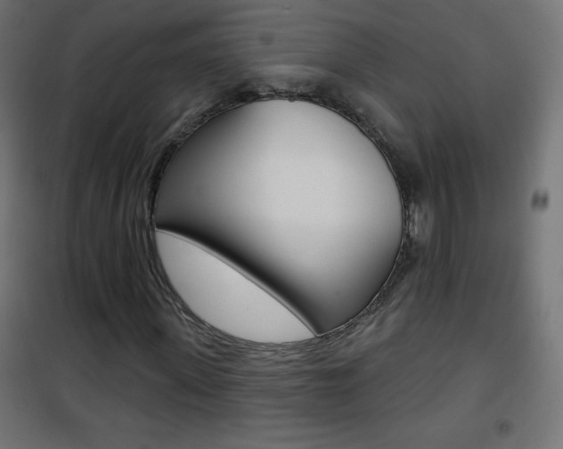 X0000101470915200807071215