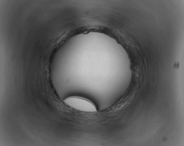 X0000101470916200807071215