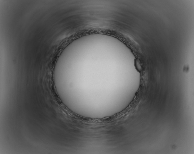 X0000101470917200807071215