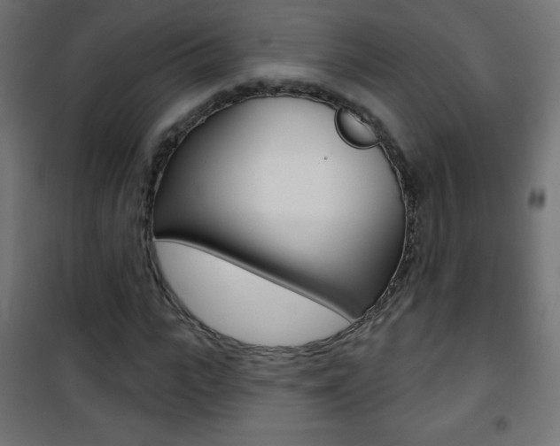 X0000101470919200807071215