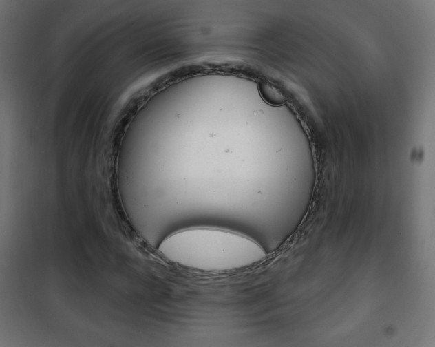 X0000101470920200807071215