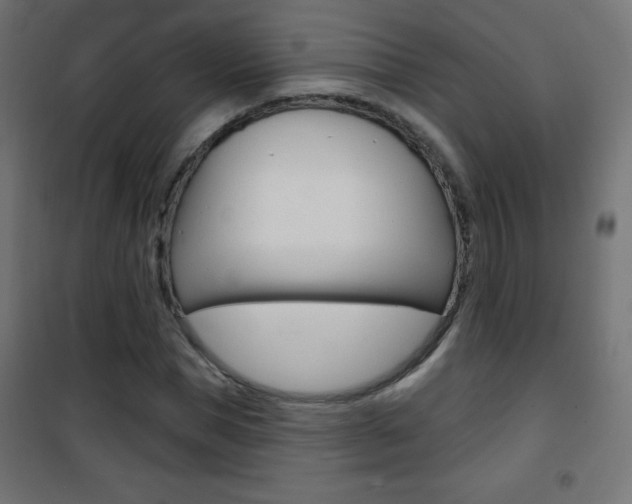 X0000101470921200807071215