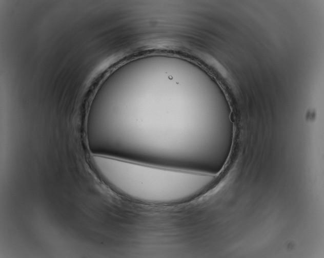 X0000101470922200807071215