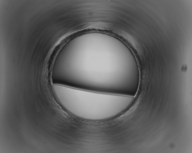 X0000101470923200807071215