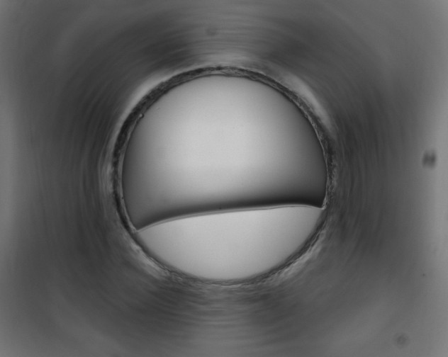 X0000101470924200807071215