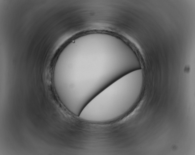 X0000101470925200807071215