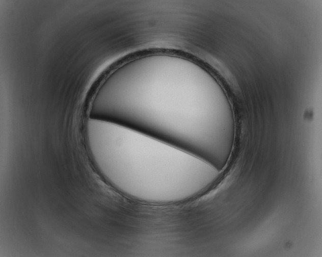 X0000101470926200807071215