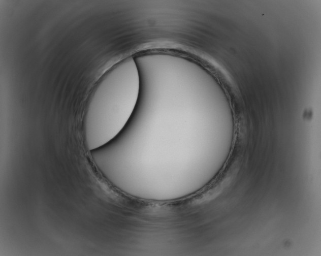 X0000101470929200807071215