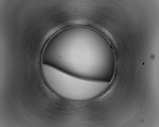 X0000101470930200807071215