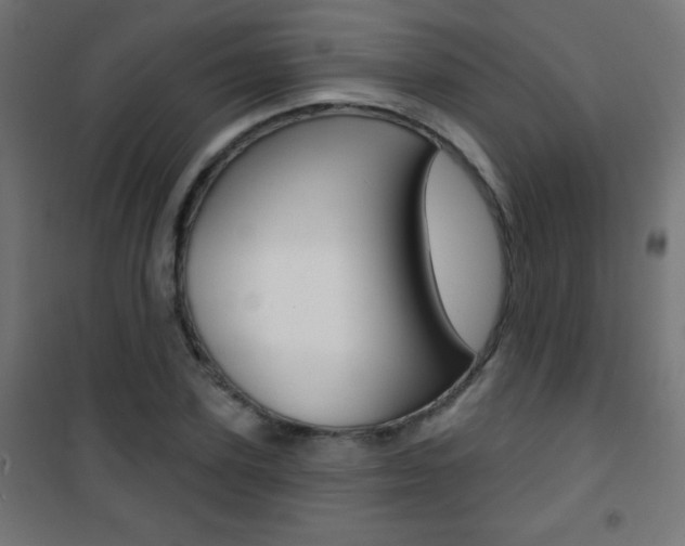X0000101470931200807071215