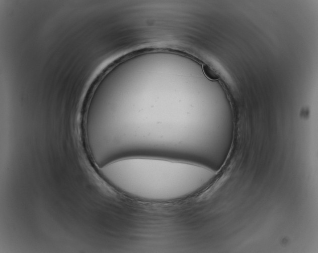 X0000101470932200807071215