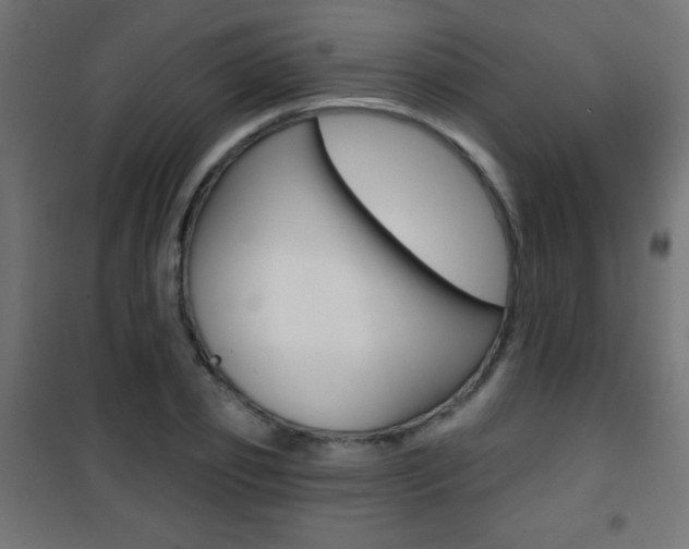 X0000101470933200807071215