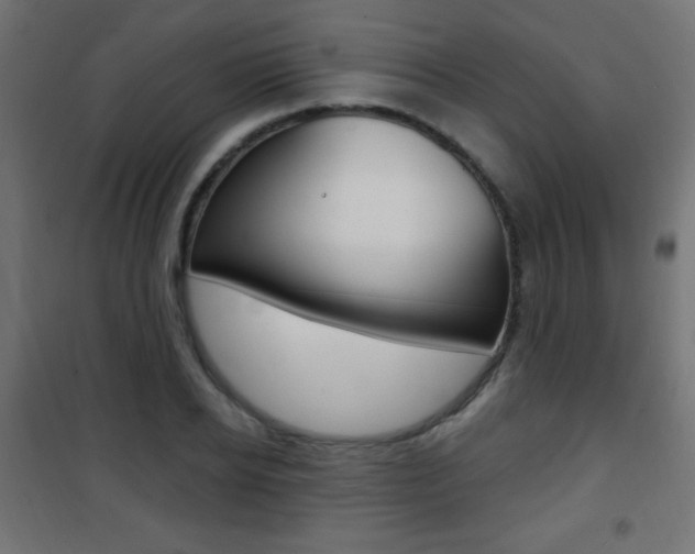 X0000101470934200807071215