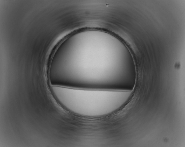 X0000101470935200807071215