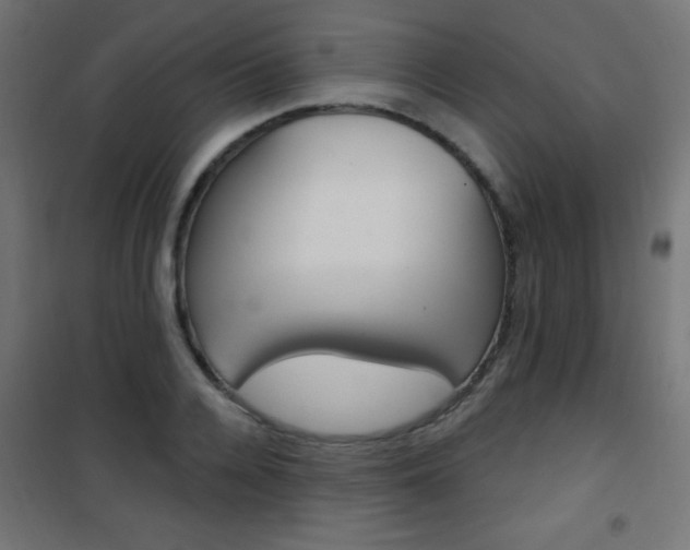 X0000101470936200807071215