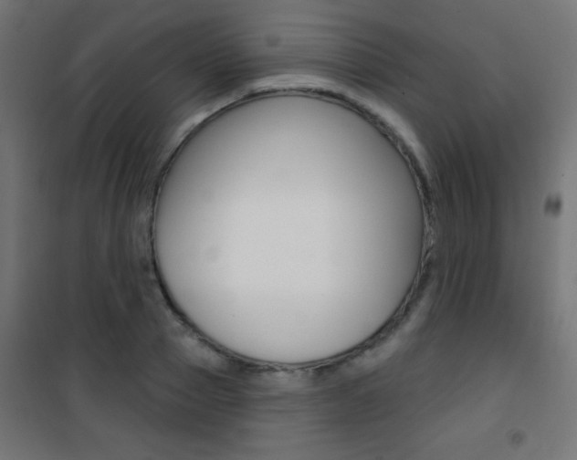 X0000101470937200807071215
