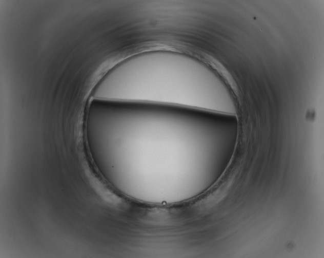 X0000101470938200807071215