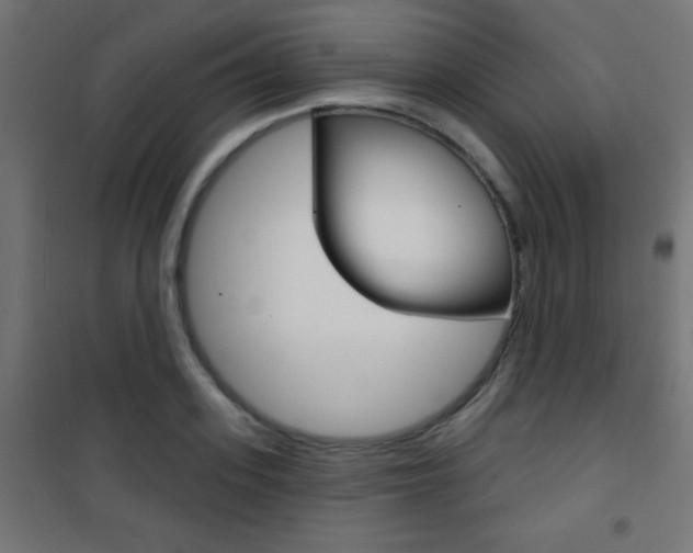X0000101470939200807071215