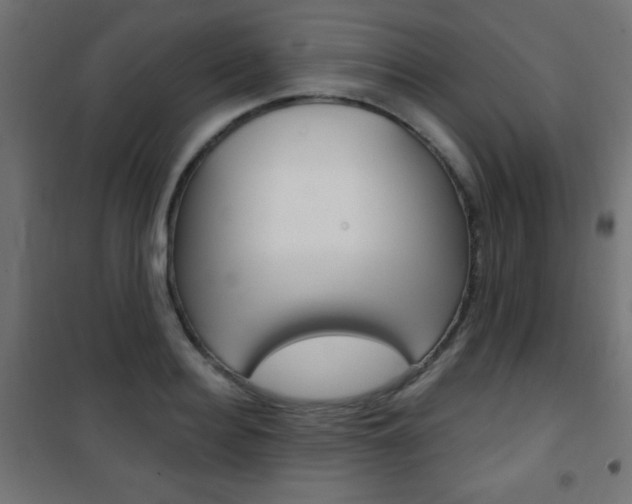 X0000101470940200807071215