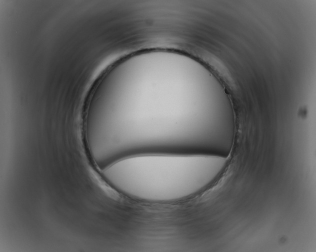 X0000101470942200807071215