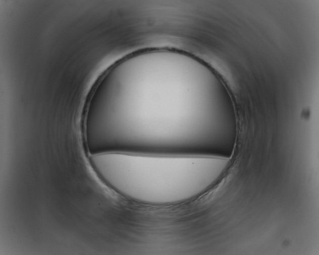 X0000101470943200807071215