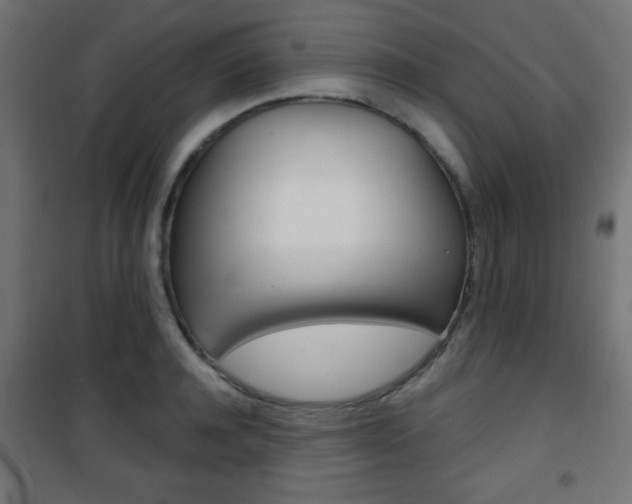 X0000101470944200807071215