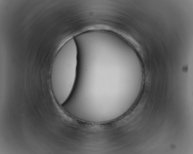 X0000101470945200807071216