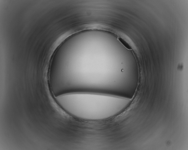 X0000101470946200807071216
