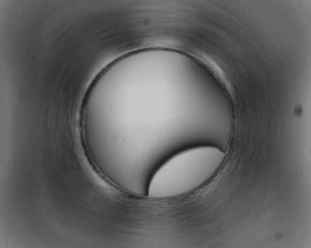 X0000101470947200807071216