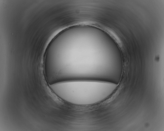 X0000101470948200807071216
