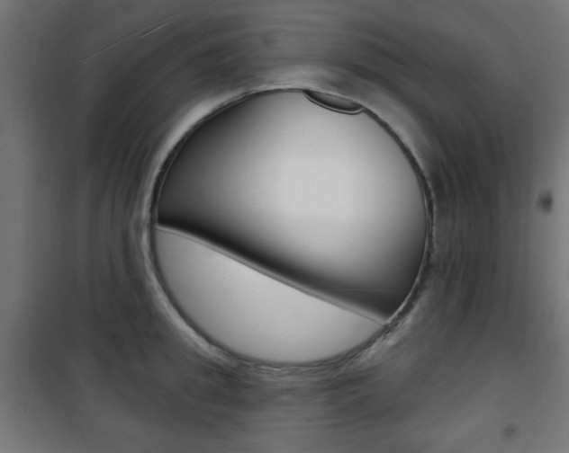 X0000101470949200807071216