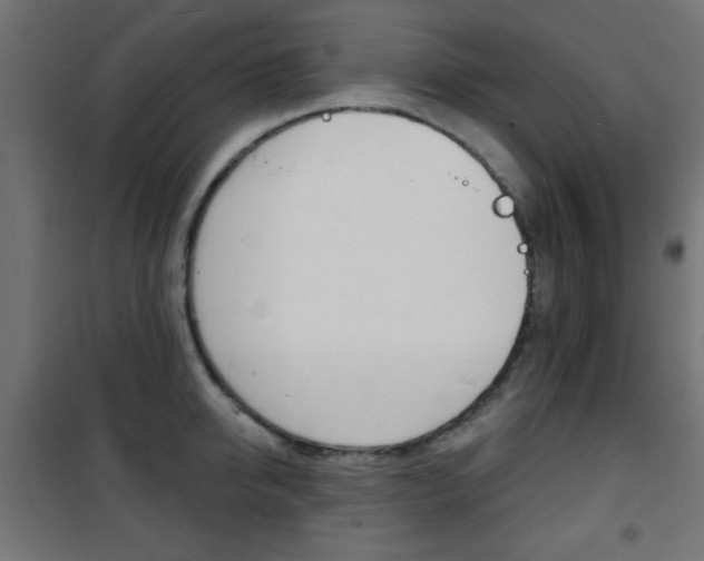 X0000101470950200807071216