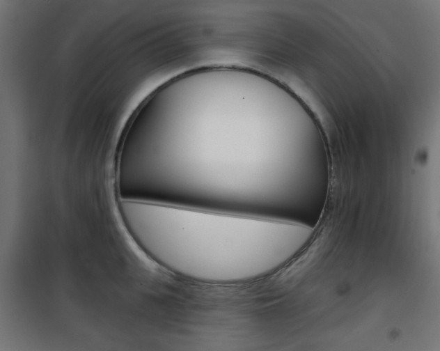 X0000101470951200807071216