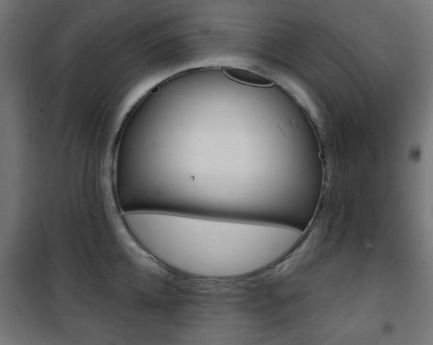 X0000101470952200807071216