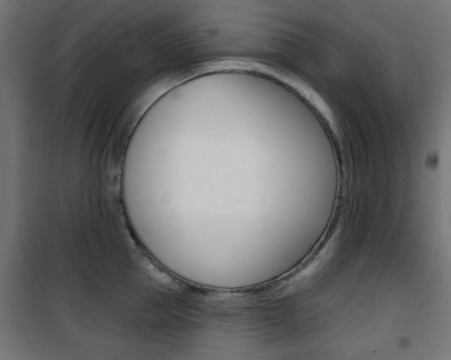 X0000101470953200807071216