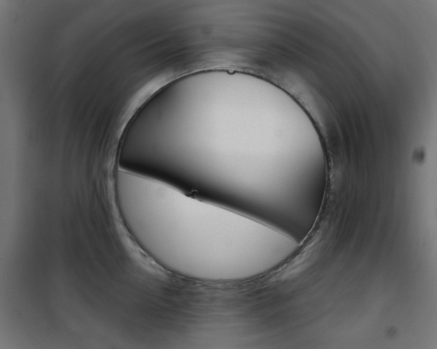 X0000101470954200807071216