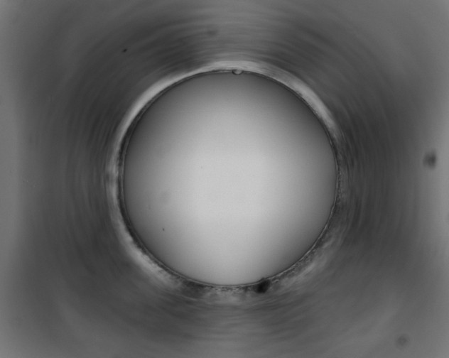 X0000101470955200807071216