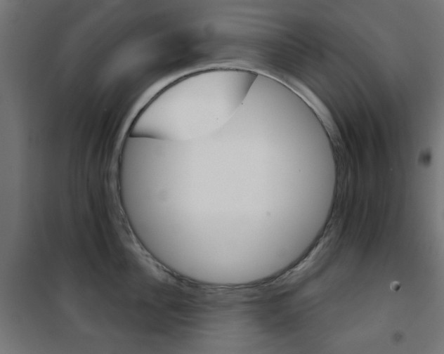 X0000101470956200807071216