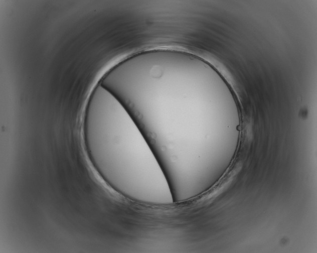 X0000101470957200807071216